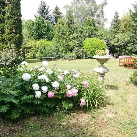 3 Bedroom Ground Floor House With Terrace. Apartament *